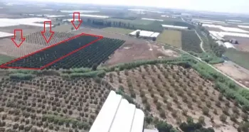 أرض مزرعة بساتين برتقال في منطقة Serik بولاية Antalya